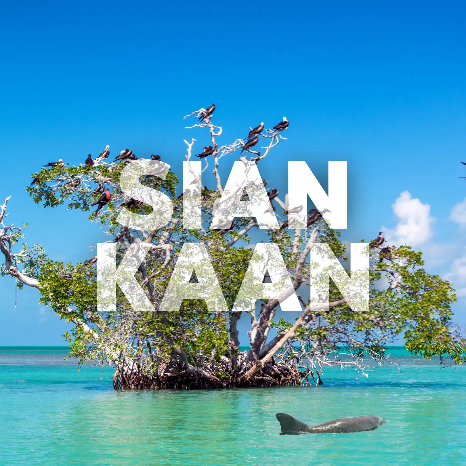 Sian Ka'an