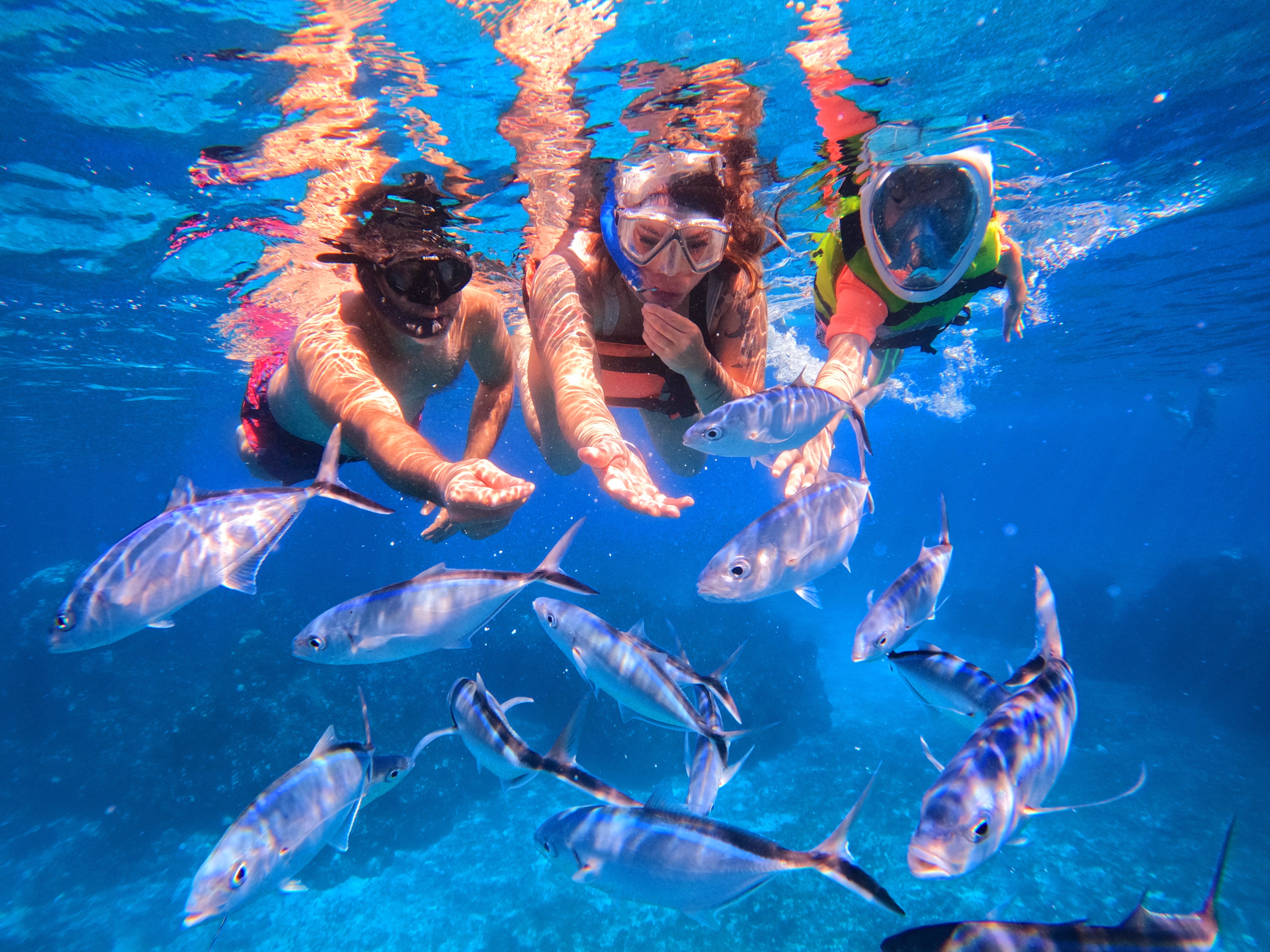 Galería El Cielo [Lancha] - 2