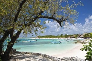 Tortugas Akumal