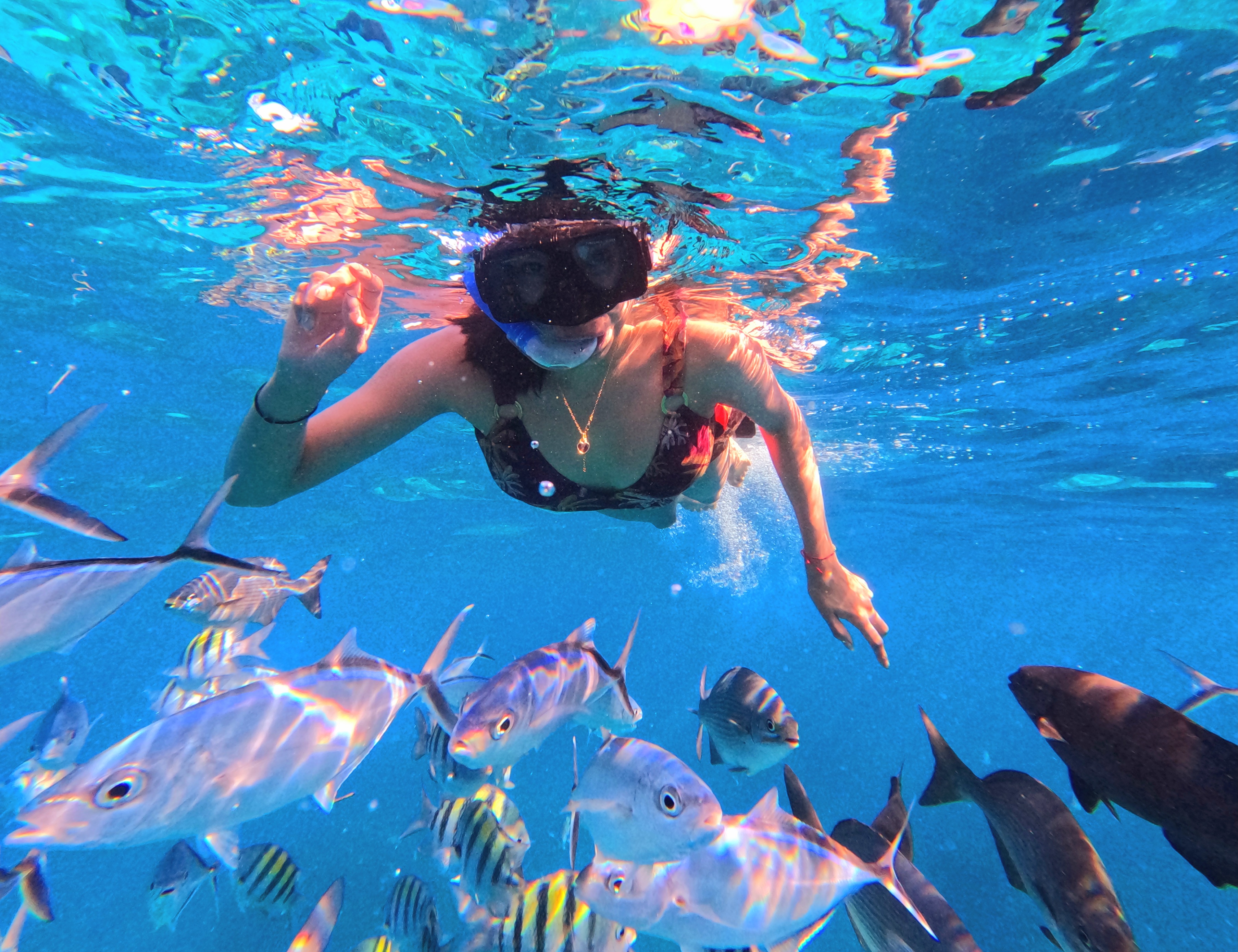 El Cielo Cozumel