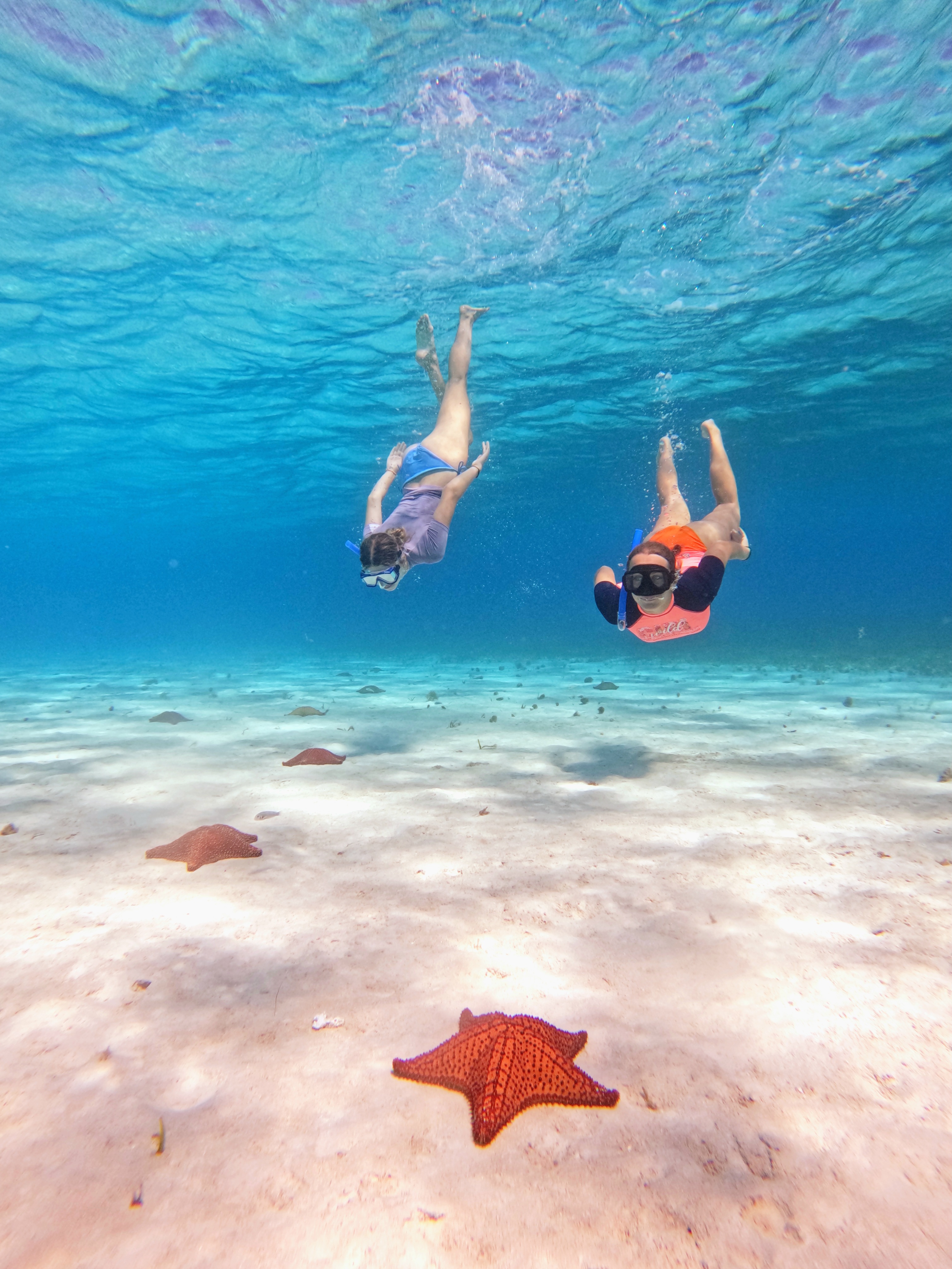 El Cielo Cozumel