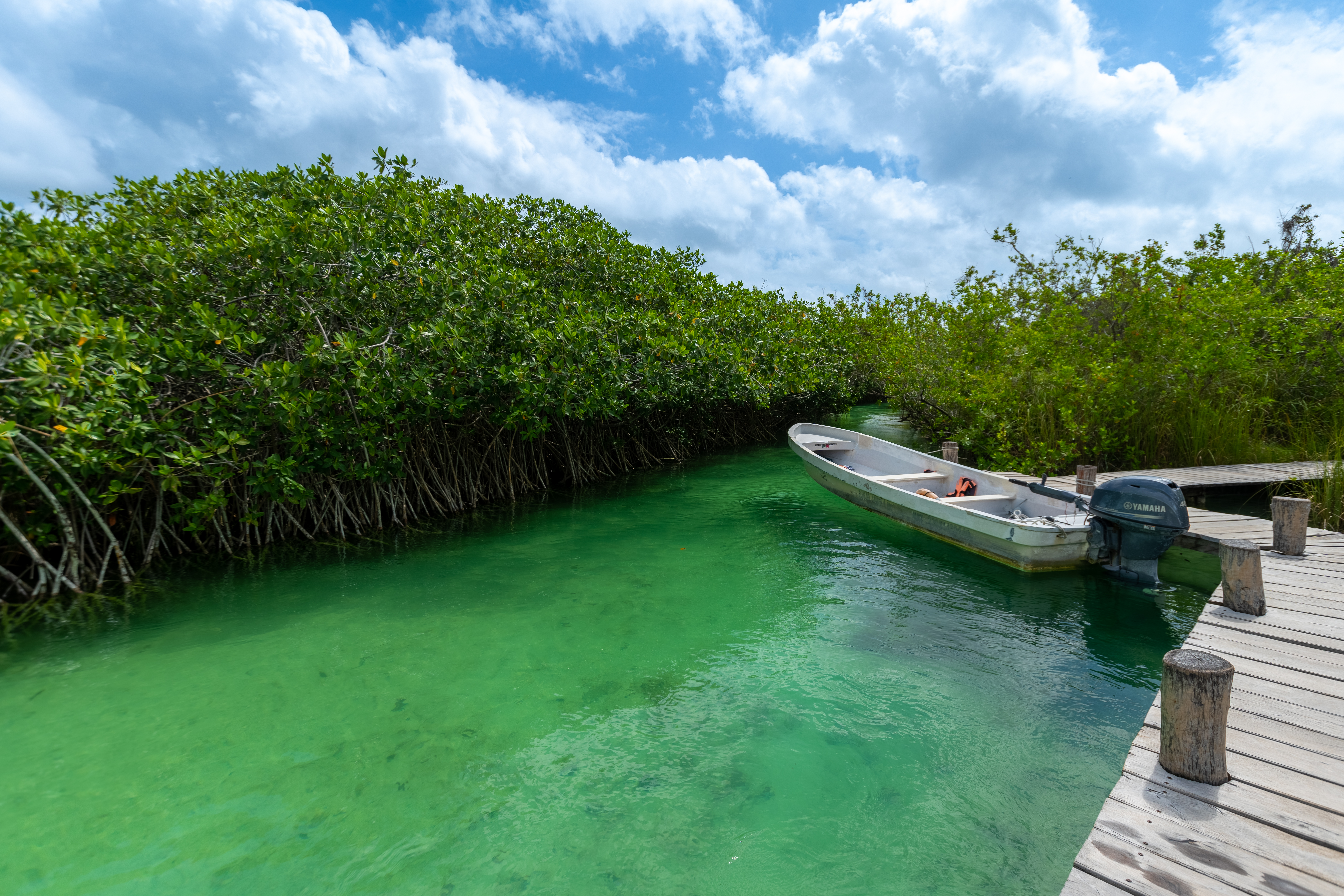 Galería Sian Ka'an - 3