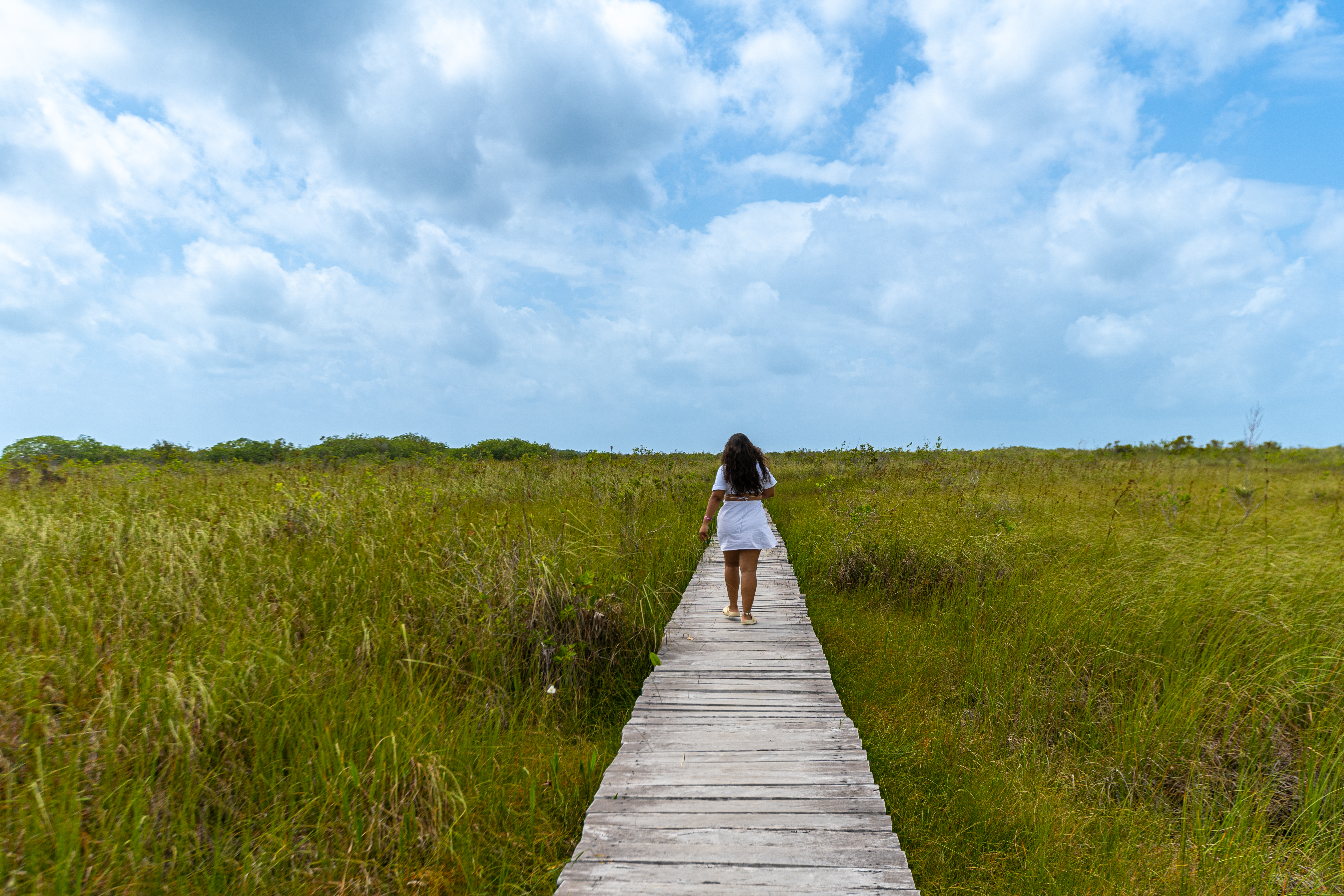 Galería Sian Ka'an - 4