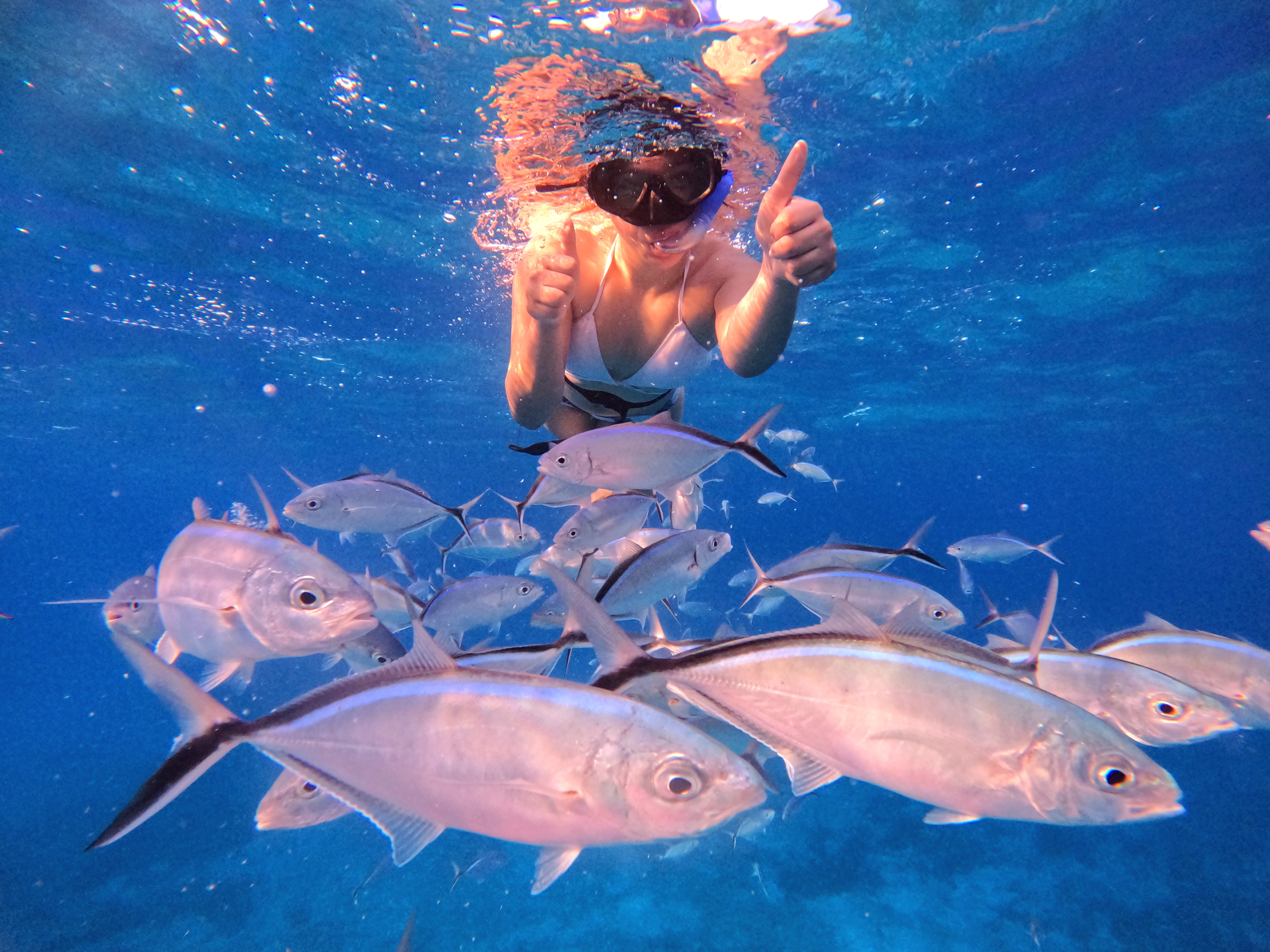 El Cielo Cozumel
