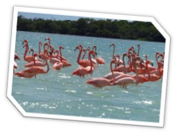 Las Coloradas