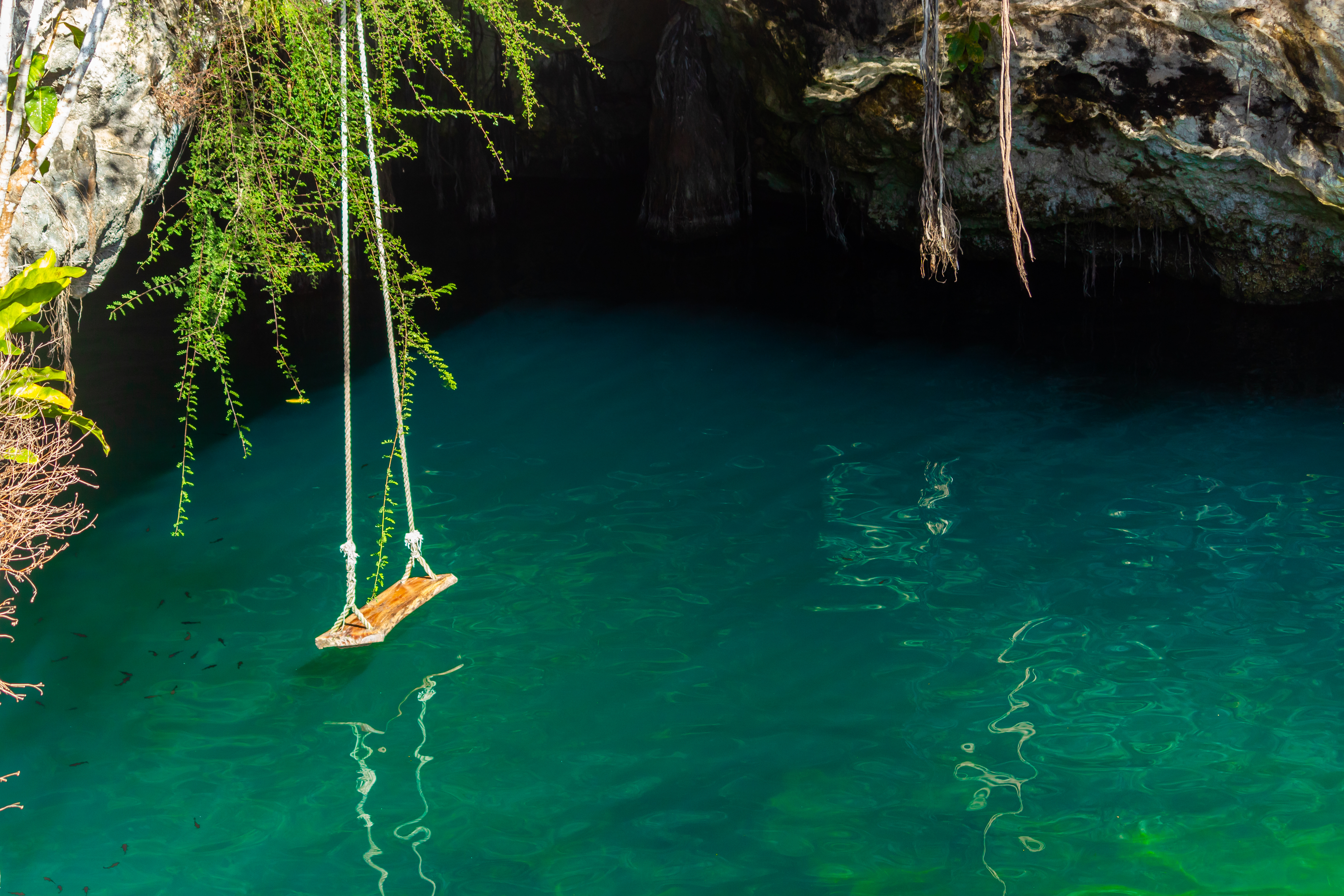 Galería Tulum Coba y Cenote - 5